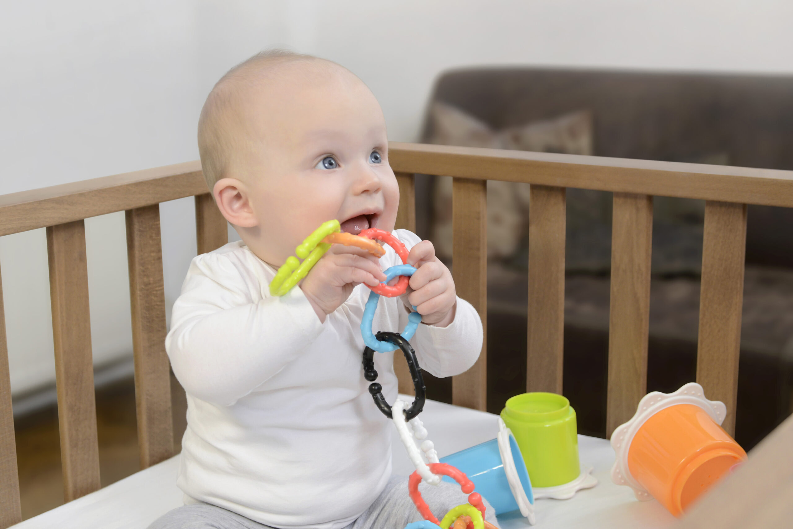 Kidsme bērnu zobgrauznis - Image 2